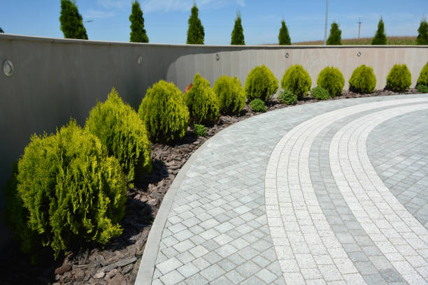 Best Custom Driveway Pavers  in Lytle, TX